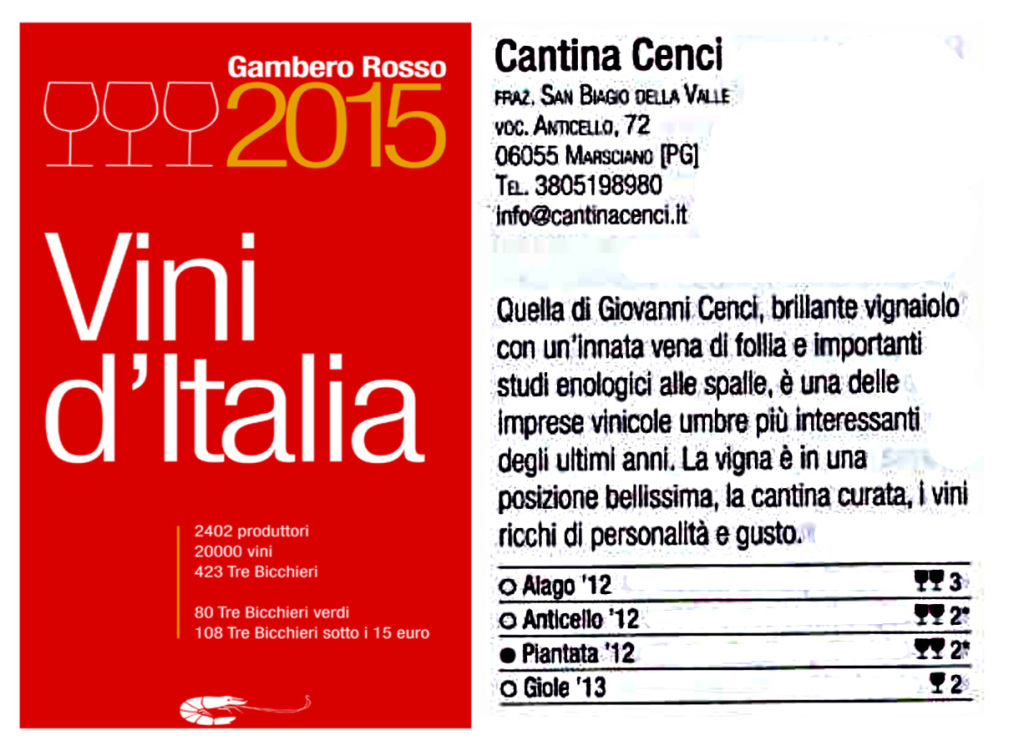 Vini-d'-Italia-2015-Gambero-Rosso